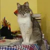 Отзыв от Ева Коновалова